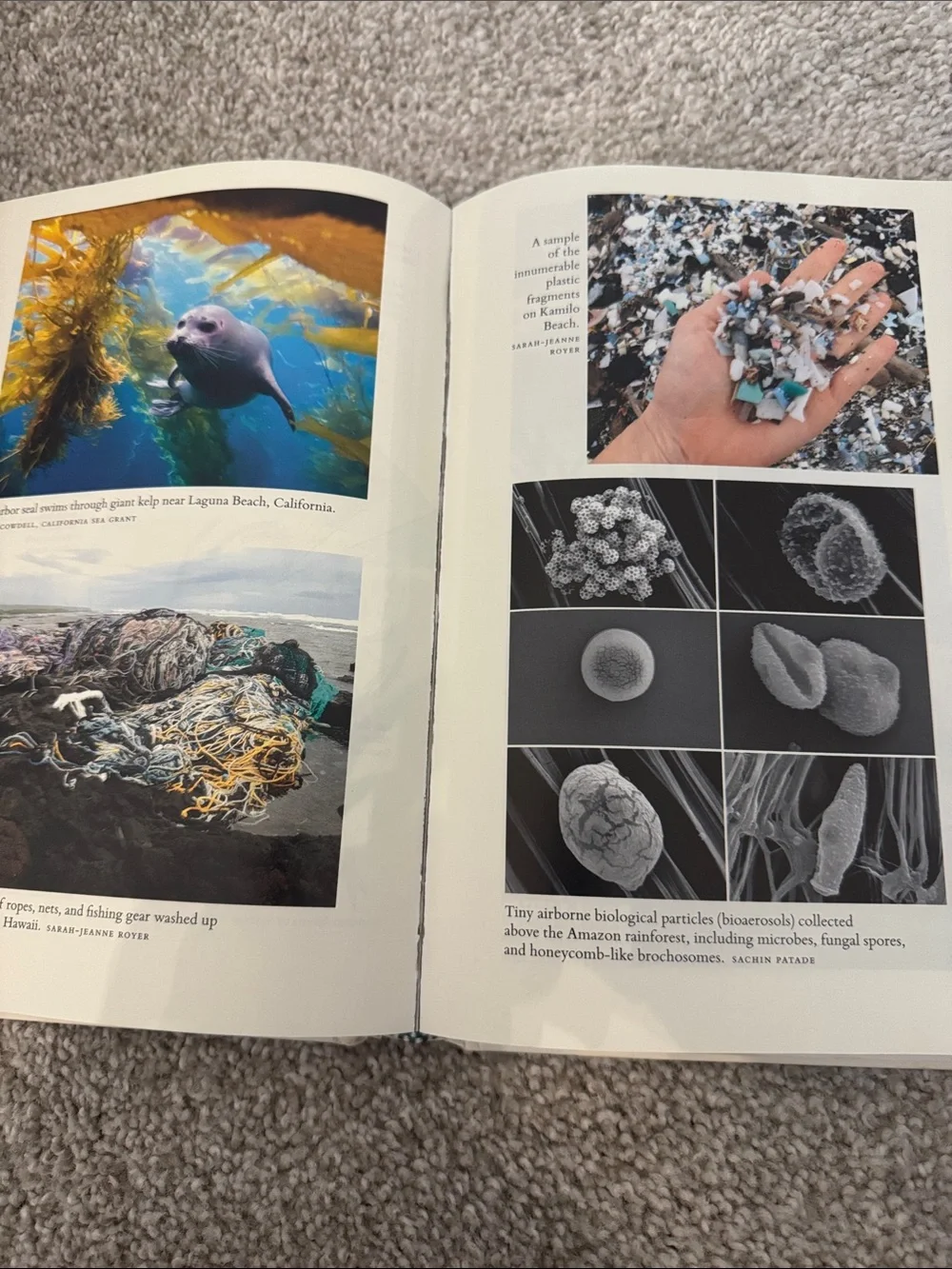 Becoming Earth Hardcover Book
